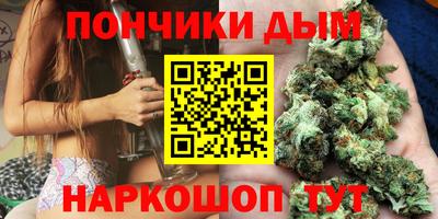 шишки Пугачёв