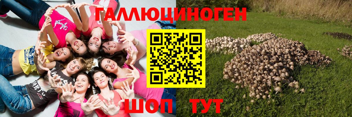 Псилоцибиновые грибы GOLDEN TEACHER Рассказово