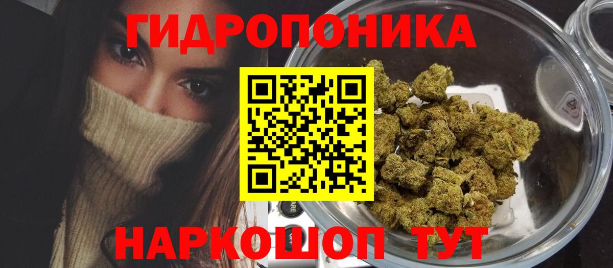 Бошки марихуана сатива Рассказово